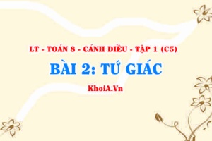 Tổng các góc của một tứ giác, cách nhận biết tứ giác, tứ giác lồi? Toán 8 bài 2 c5cd1